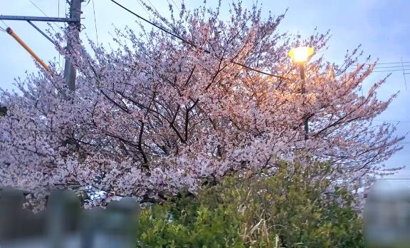 広川冬美 写メ日記 4/14(月) 19:14