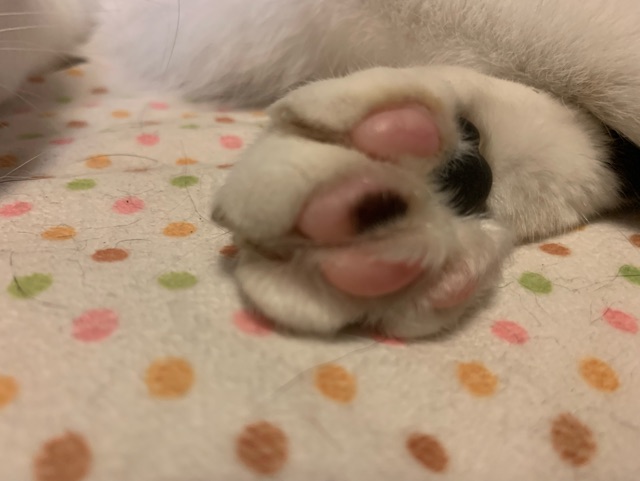 菊池ゆり 写メ日記 8/2(土) 19:56