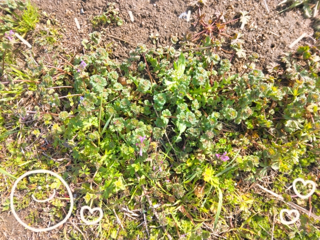 上杉あずさ 写メ日記 3/18(火) 19:38