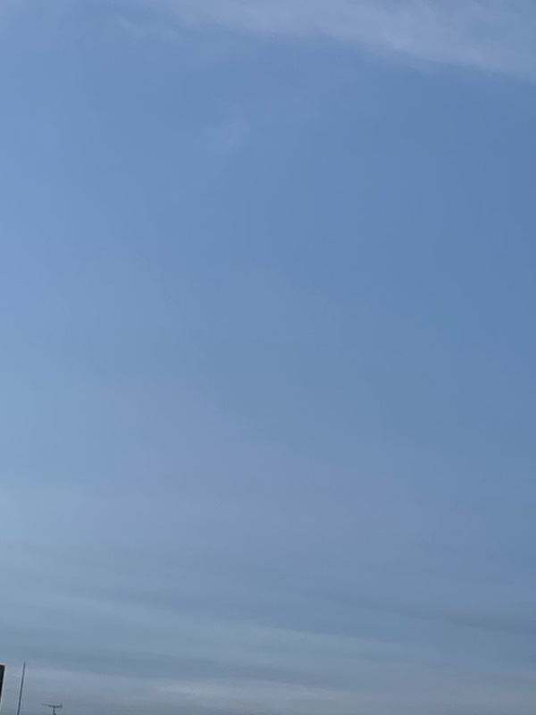 一色まゆみ 写メ日記 3/14(金) 06:36