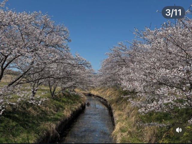 一色まゆみ 写メ日記 4/10(木) 23:16