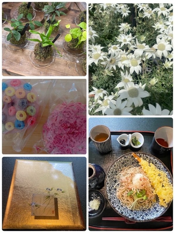 一色まゆみ 写メ日記 4/20(日) 23:14