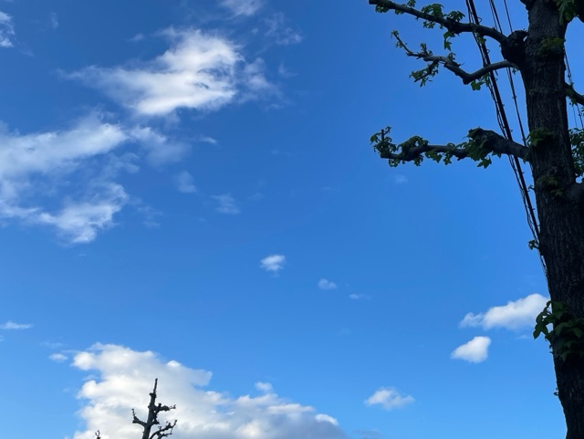 一色まゆみ 写メ日記 5/2(金) 18:08