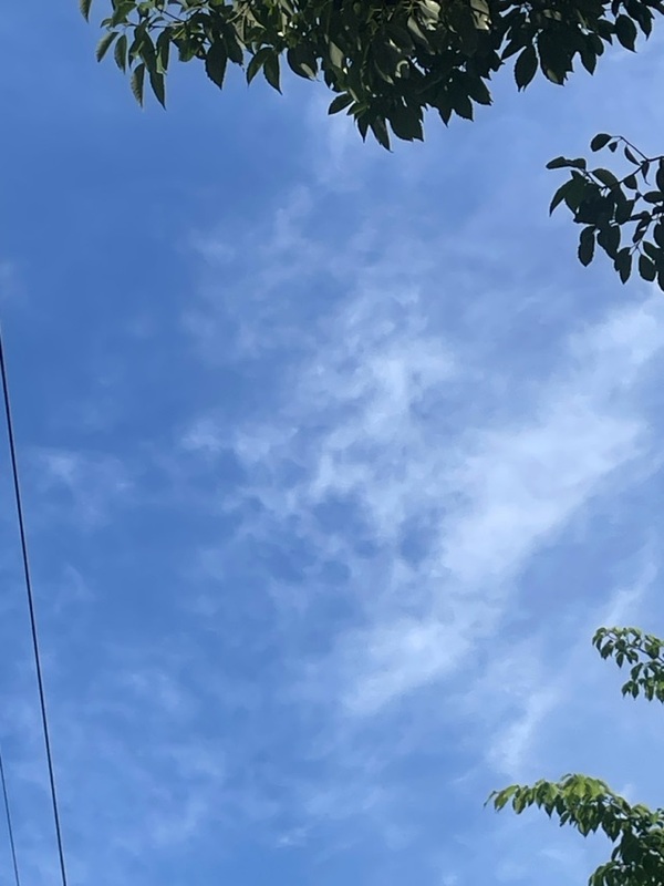 一色まゆみ 写メ日記 5/22(木) 16:12
