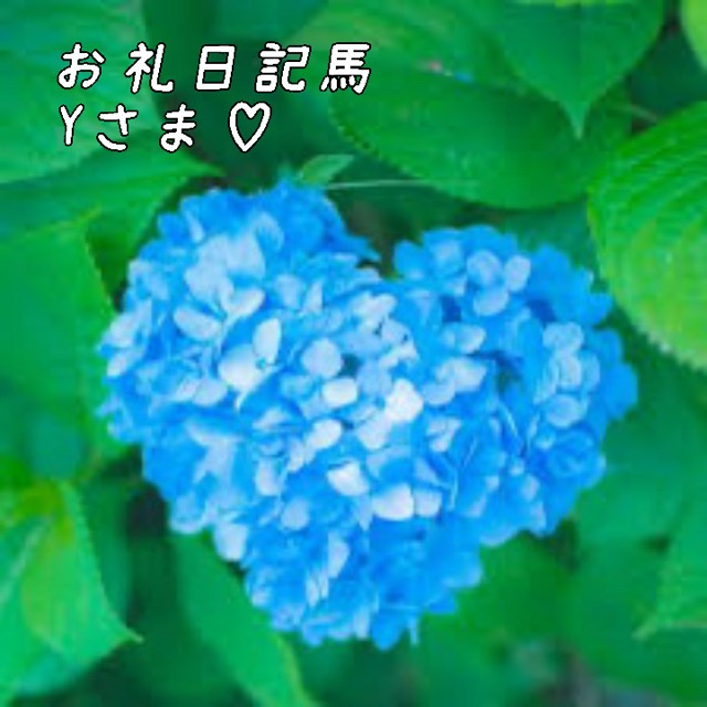 一色まゆみ 写メ日記 6/8(日) 08:00