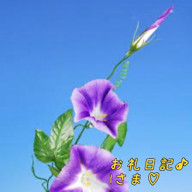 一色まゆみ 写メ日記 8/4(月) 06:20