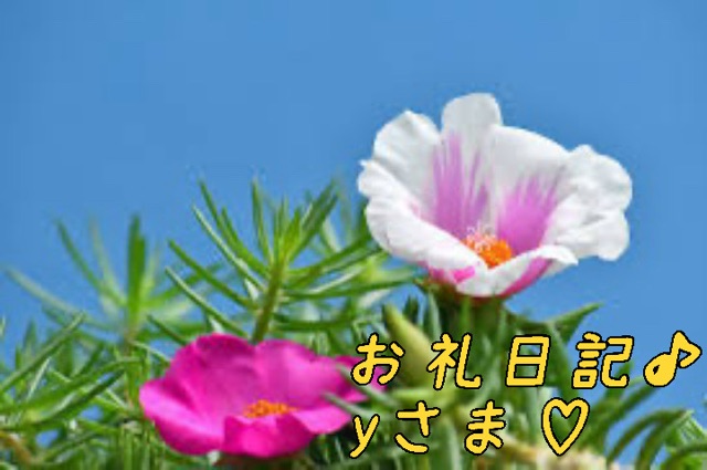 一色まゆみ 写メ日記 8/4(月) 09:16