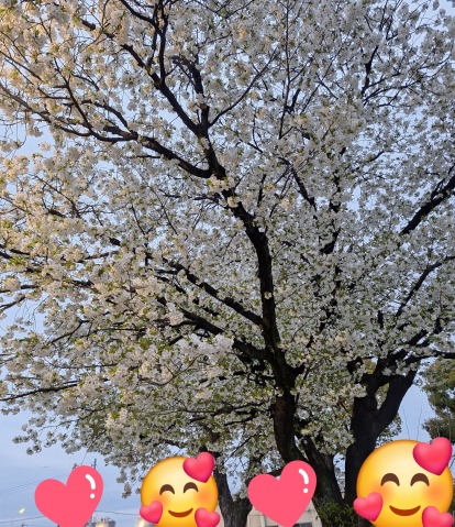 宮本恵美子 写メ日記 4/1(火) 19:12