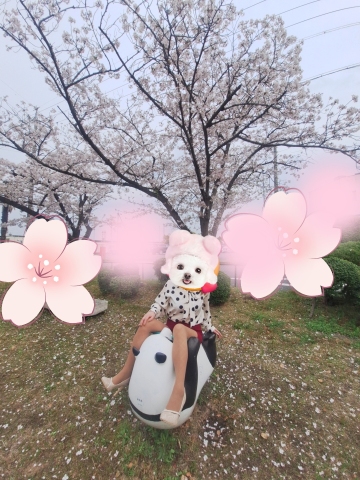 宮本恵美子 写メ日記 4/11(金) 13:02