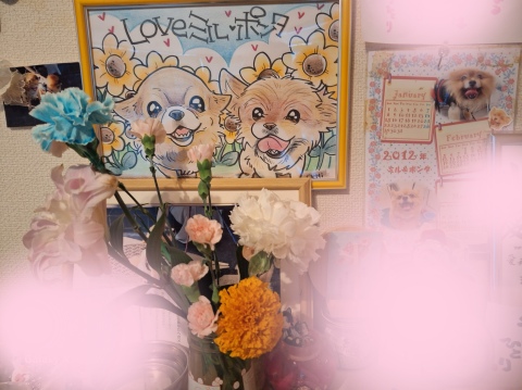 宮本恵美子 写メ日記 5/31(土) 16:38
