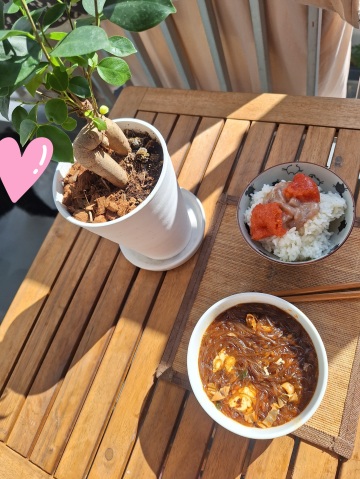 宮本恵美子 写メ日記 11/6(木) 13:24