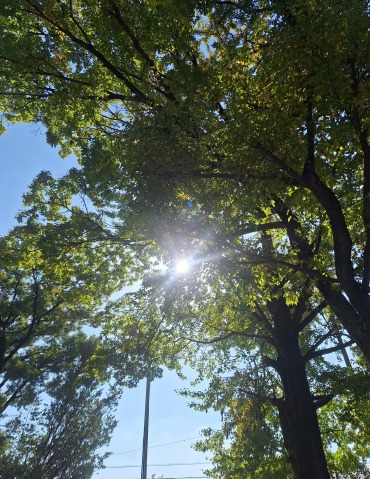 宮本恵美子 写メ日記 11/7(金) 13:54