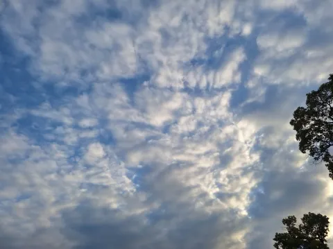 写メ日記 宮本恵美子 11/27(木) 10:44