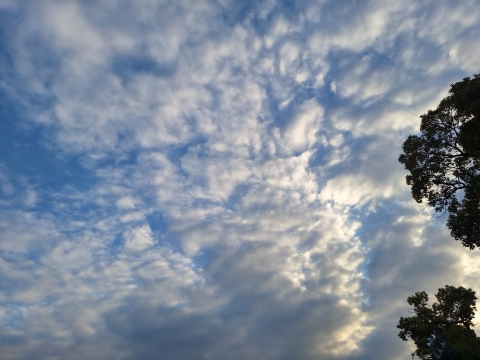 宮本恵美子 写メ日記 11/30(日) 17:22