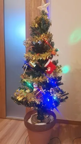 写メ日記 宮本恵美子 12/25(木) 14:50