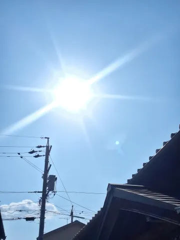 写メ日記 宮本恵美子 2/12(木) 16:24