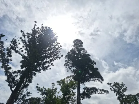 写メ日記 宮本恵美子 4/26(日) 13:52