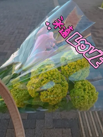 写メ日記 宮本恵美子 4/27(月) 18:00