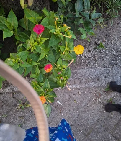 写メ日記 宮本恵美子 6/30(火) 19:46