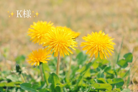 小山真帆 写メ日記 3/29(土) 16:00