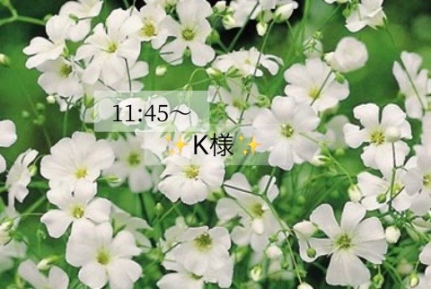 小山真帆 写メ日記 4/1(火) 19:52