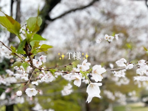 小山真帆 写メ日記 4/6(日) 17:18