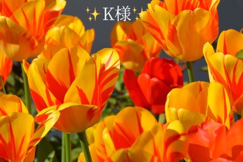 小山真帆 写メ日記 4/10(木) 16:58