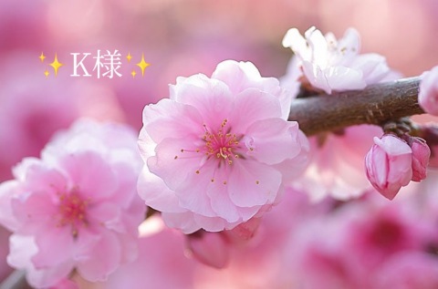 小山真帆 写メ日記 4/12(土) 22:06