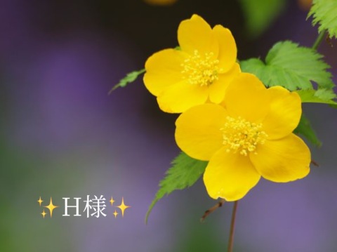 小山真帆 写メ日記 4/12(土) 22:32