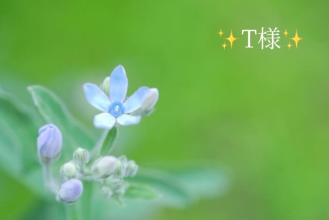 小山真帆 写メ日記 4/14(月) 17:26