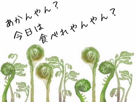 小山真帆 写メ日記 4/18(金) 18:12