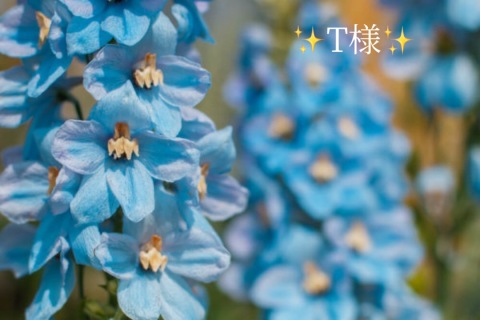 小山真帆 写メ日記 4/19(土) 19:58