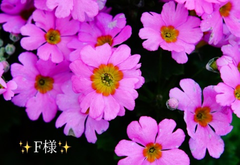 小山真帆 写メ日記 4/28(月) 18:36