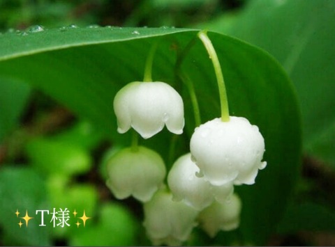 小山真帆 写メ日記 5/1(木) 17:40