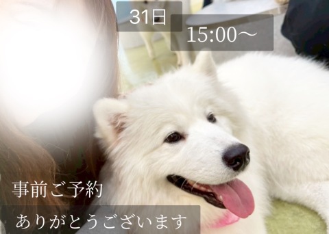 小山真帆 写メ日記 5/26(月) 18:26