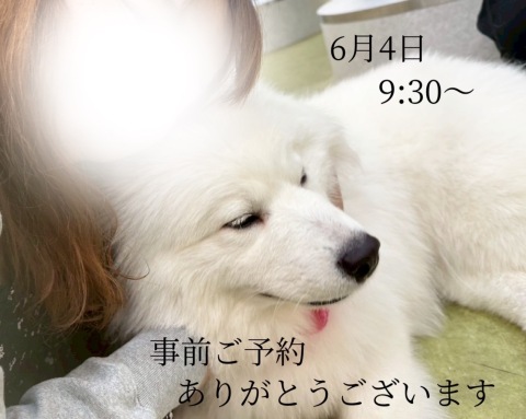 小山真帆 写メ日記 5/29(木) 21:44