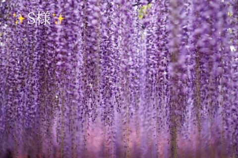 小山真帆 写メ日記 5/31(土) 23:30