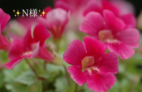 小山真帆 写メ日記 6/2(月) 16:40