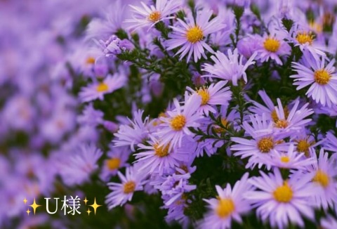 小山真帆 写メ日記 6/9(月) 20:56