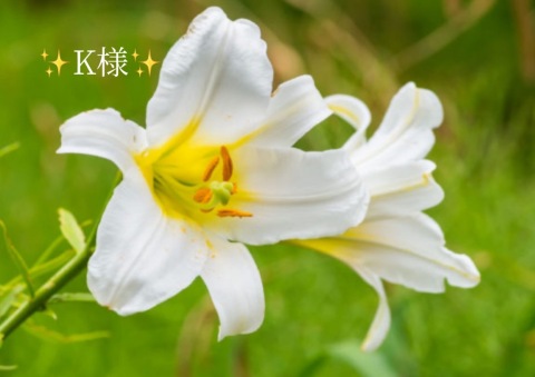 小山真帆 写メ日記 6/12(木) 17:50