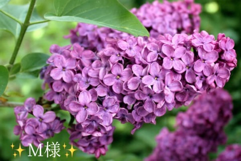 小山真帆 写メ日記 6/12(木) 20:16
