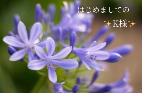 小山真帆 写メ日記 6/12(木) 22:40