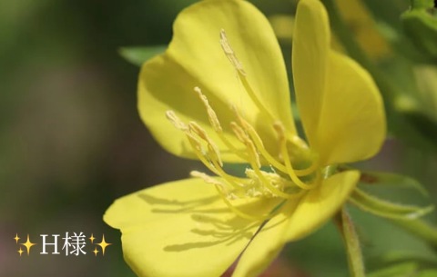 小山真帆 写メ日記 6/21(土) 22:20