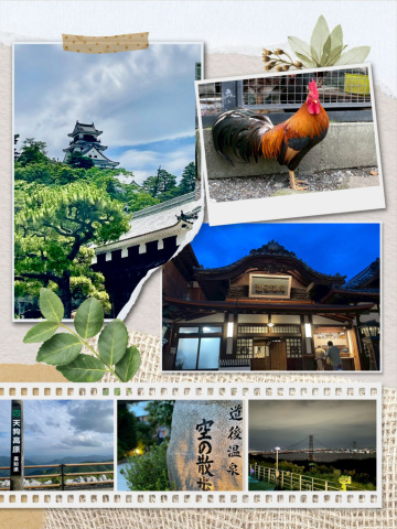 小山真帆 写メ日記 6/22(日) 12:00
