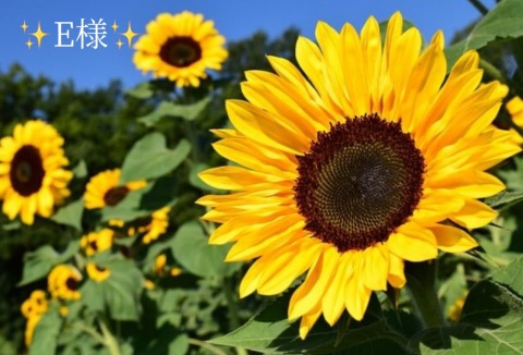 小山真帆 写メ日記 8/15(金) 22:56
