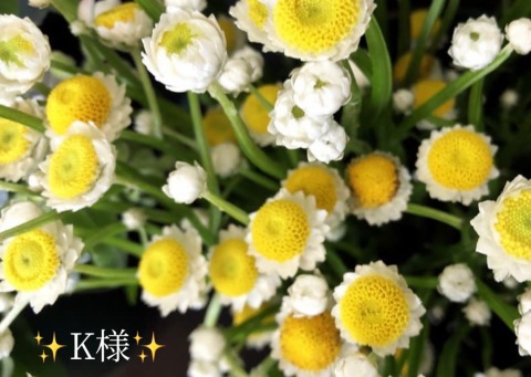 小山真帆 写メ日記 8/26(火) 23:14
