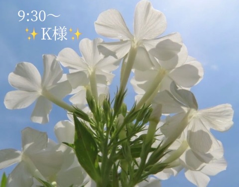 小山真帆 写メ日記 8/28(木) 21:20
