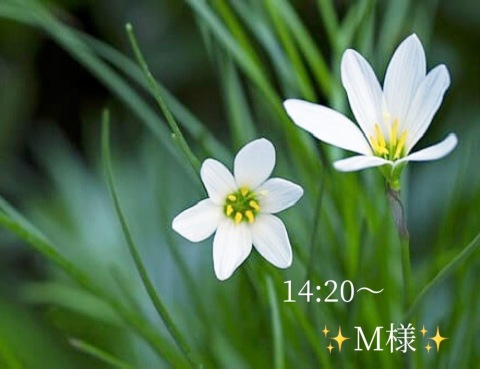 小山真帆 写メ日記 9/8(月) 17:48