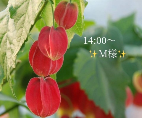 小山真帆 写メ日記 9/8(月) 19:56