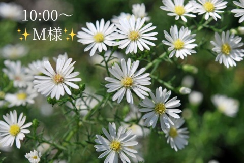 小山真帆 写メ日記 9/18(木) 20:24